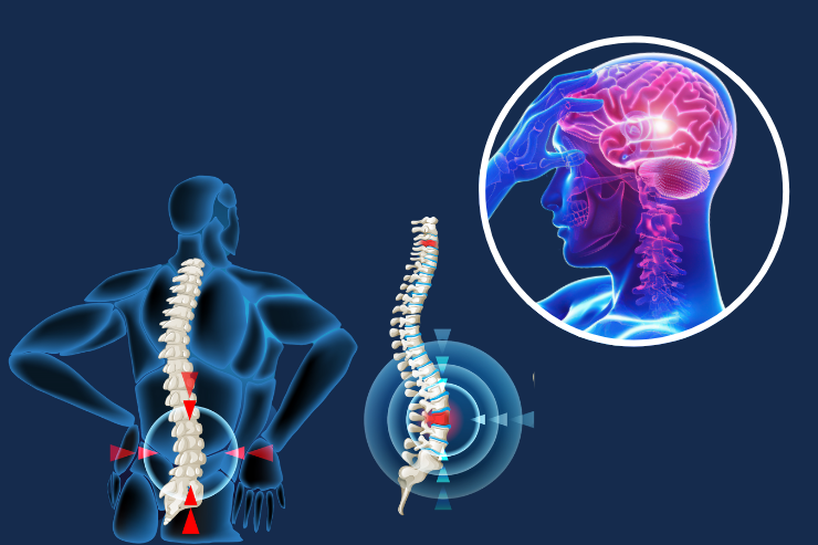 Traumatic brain and spine injury management